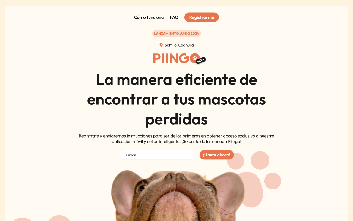 Screenshot of the Piingo project