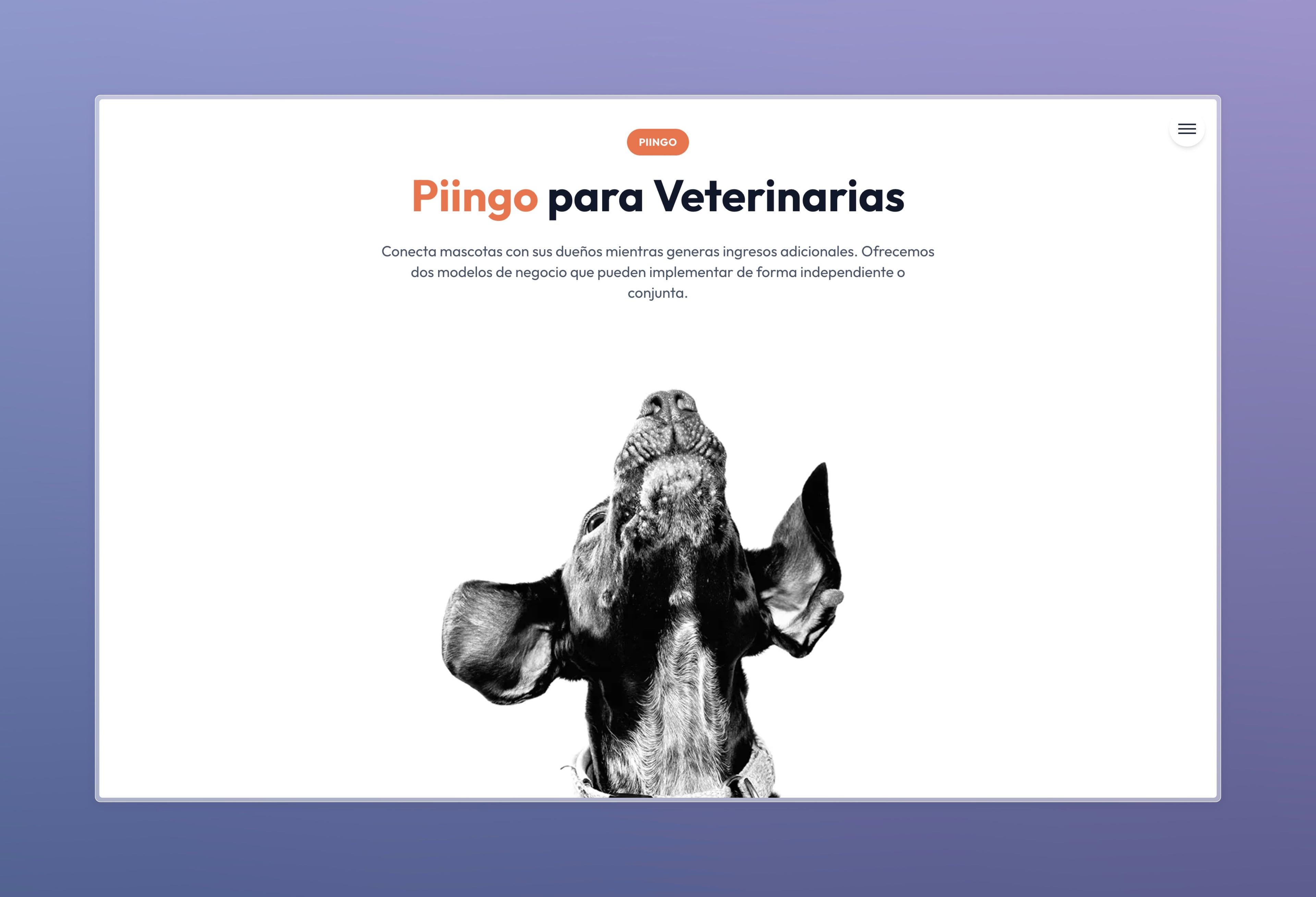 Screenshot of the Vets Piingo project